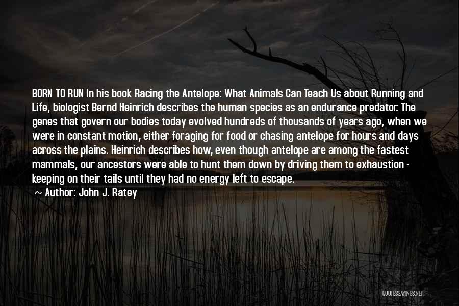 John J. Ratey Quotes 2211075