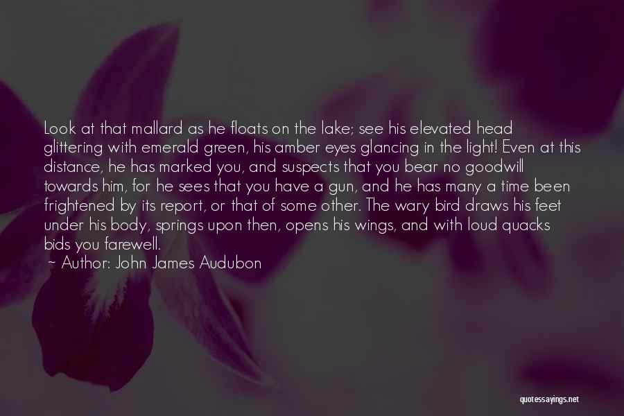 John James Audubon Quotes 1050838