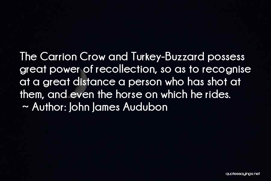 John James Audubon Quotes 110444