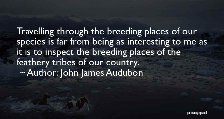 John James Audubon Quotes 1109786