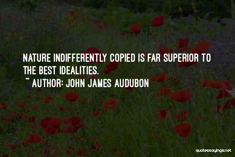 John James Audubon Quotes 1299840