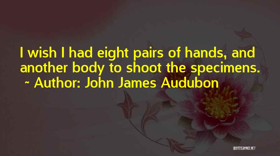 John James Audubon Quotes 1454083