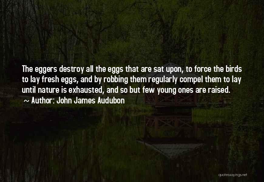 John James Audubon Quotes 1752084