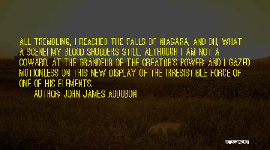 John James Audubon Quotes 1862215