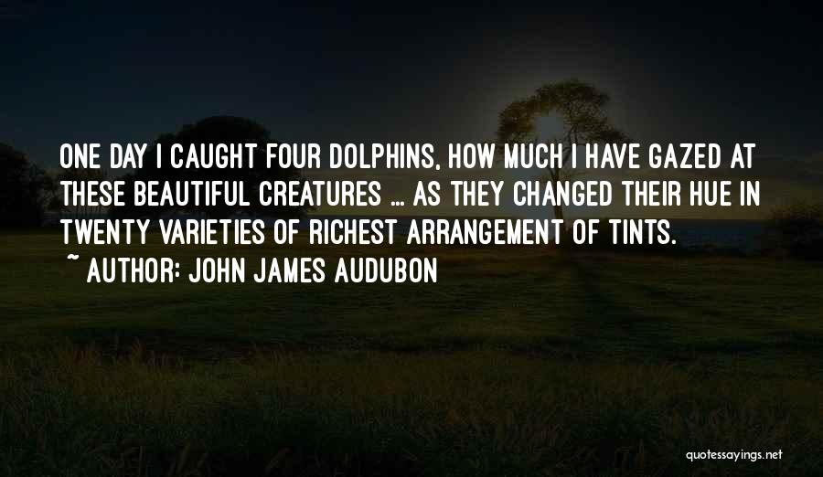 John James Audubon Quotes 1863522