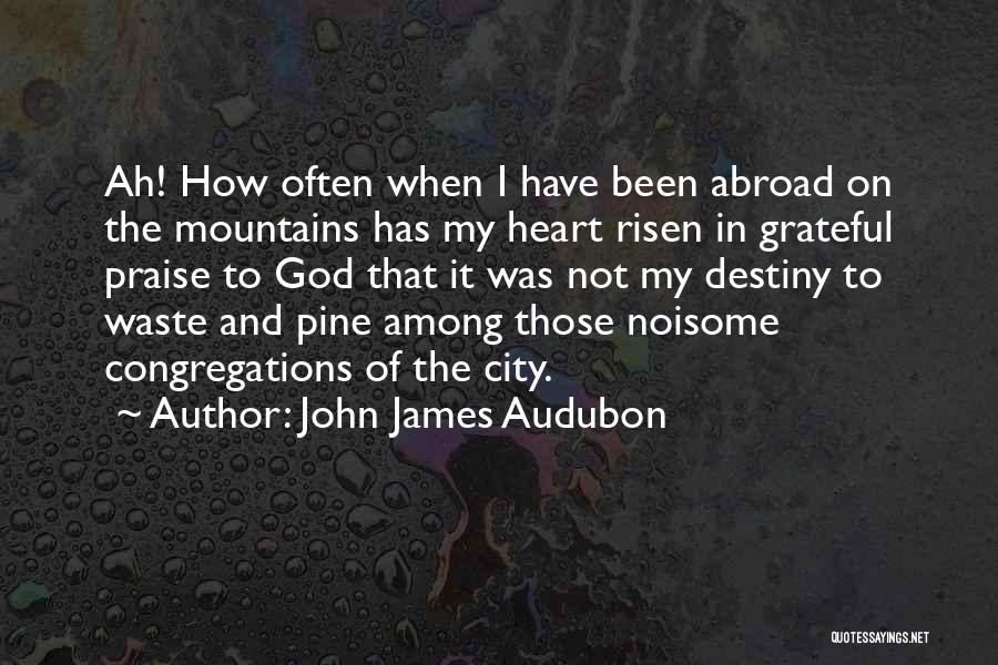 John James Audubon Quotes 2101618