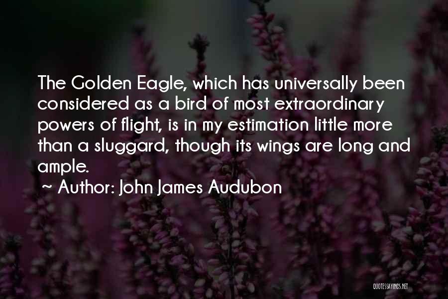 John James Audubon Quotes 699938