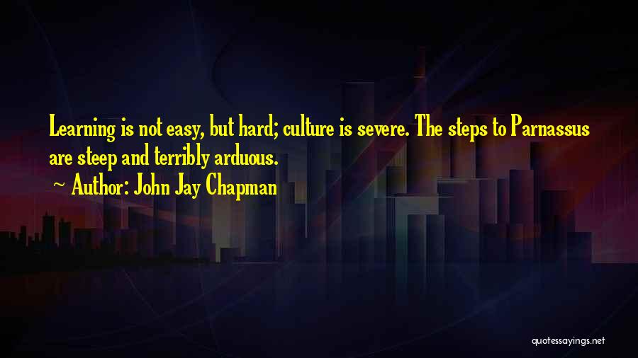 John Jay Chapman Quotes 1514835