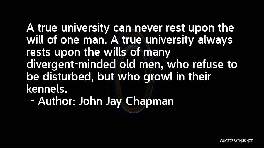 John Jay Chapman Quotes 1715244