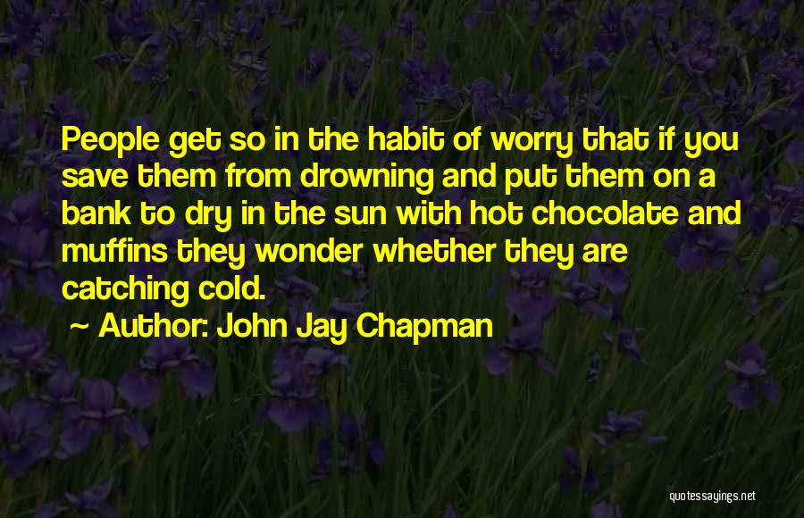 John Jay Chapman Quotes 2206321