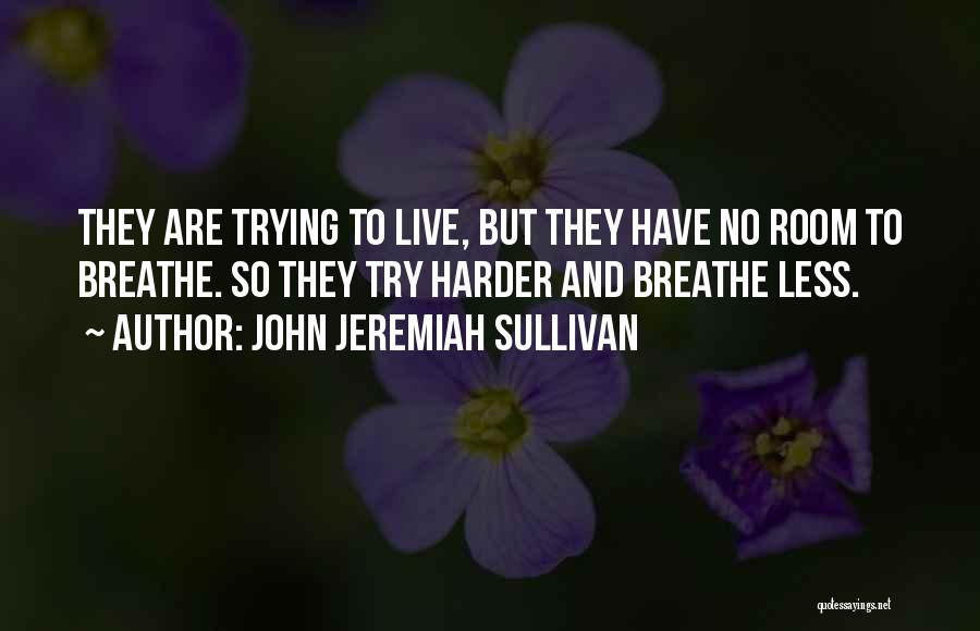 John Jeremiah Sullivan Quotes 1478608