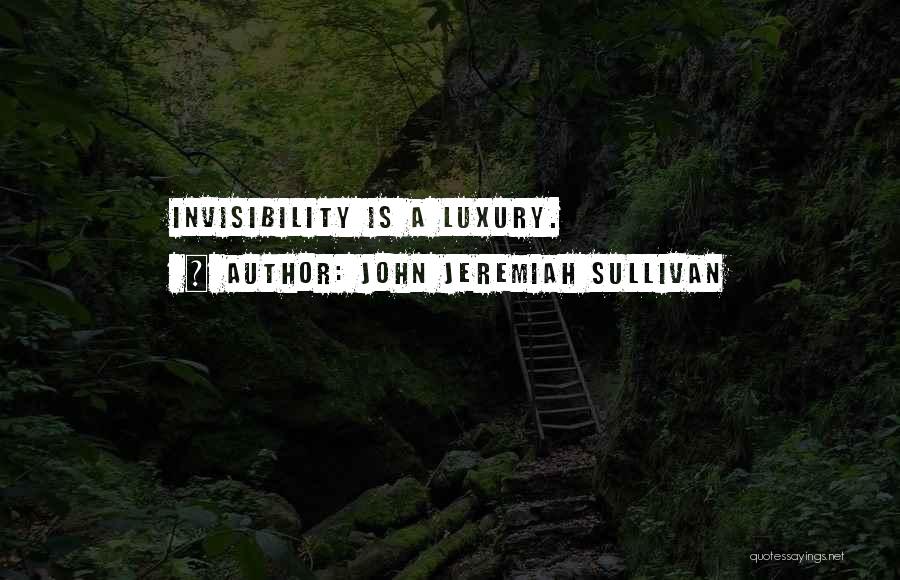 John Jeremiah Sullivan Quotes 2068454