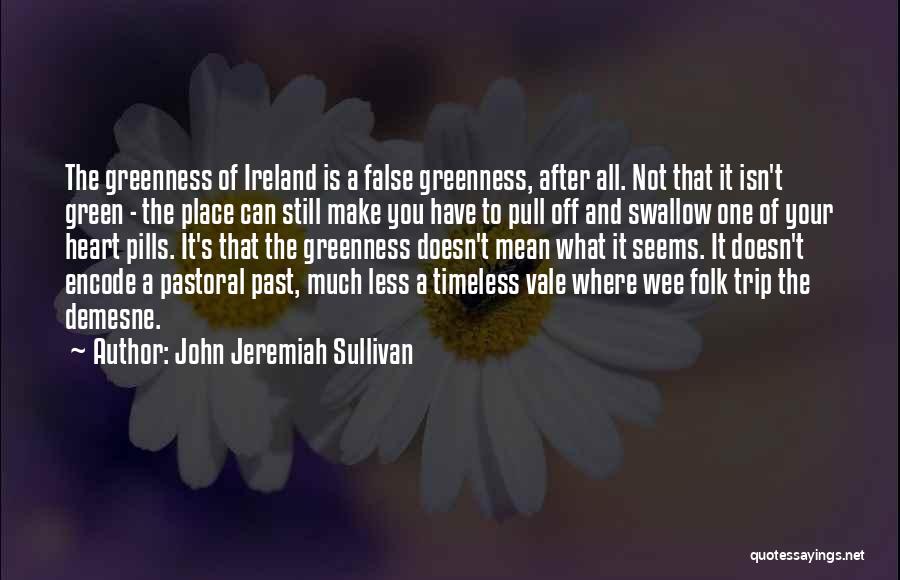 John Jeremiah Sullivan Quotes 657706