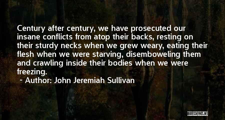 John Jeremiah Sullivan Quotes 896400