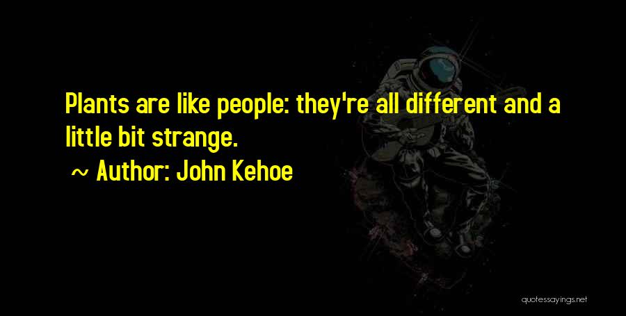 John Kehoe Quotes 2114452