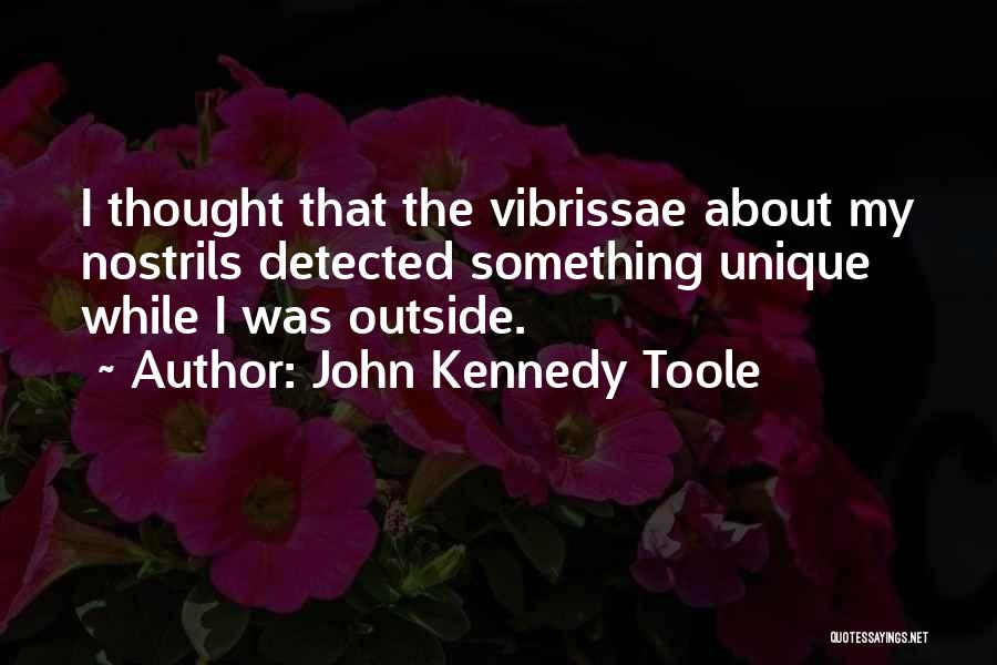 John Kennedy Toole Quotes 1882423