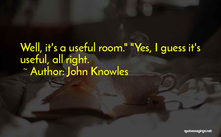 John Knowles Quotes 1038493