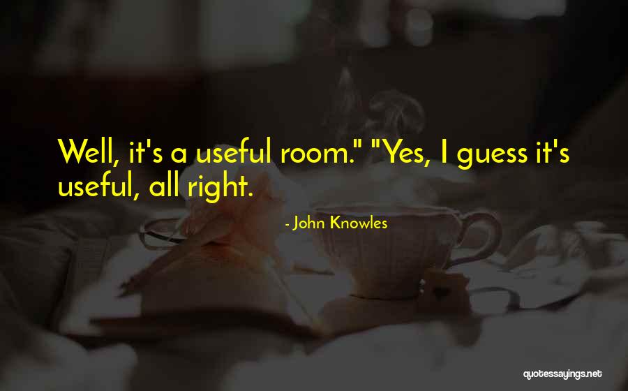 John Knowles Quotes 1038493