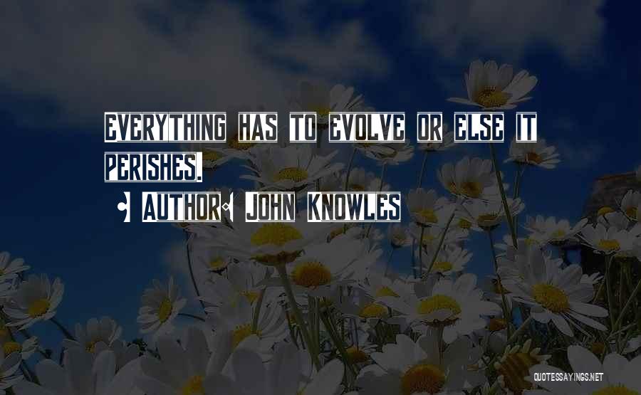 John Knowles Quotes 1089802