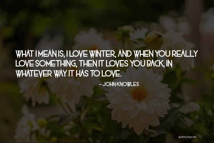 John Knowles Quotes 110892