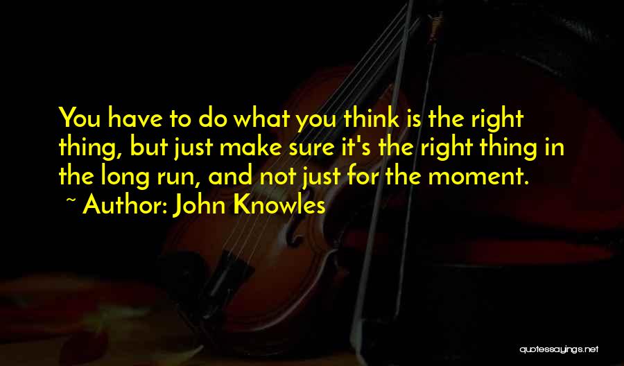 John Knowles Quotes 1317045