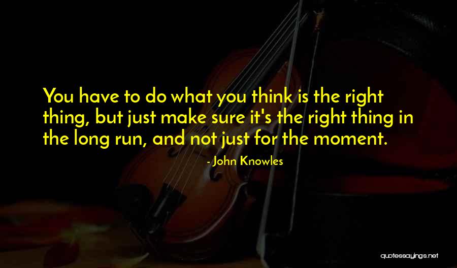 John Knowles Quotes 1317045