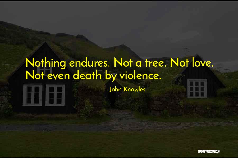 John Knowles Quotes 1344661