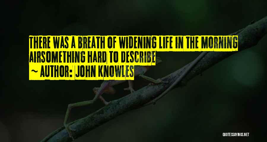 John Knowles Quotes 1392365
