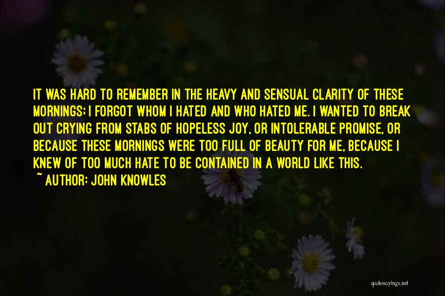 John Knowles Quotes 1675081
