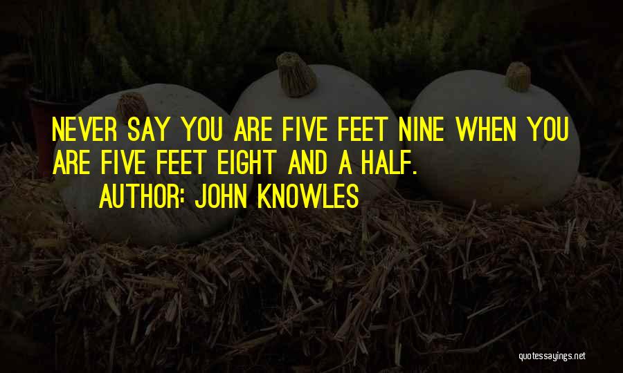 John Knowles Quotes 169467