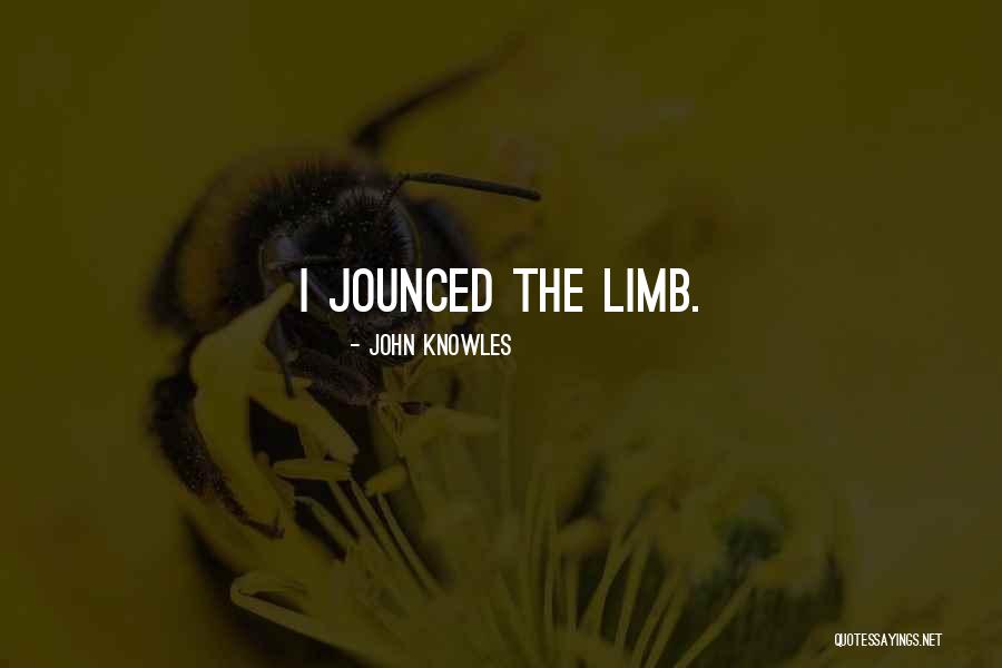 John Knowles Quotes 2049532