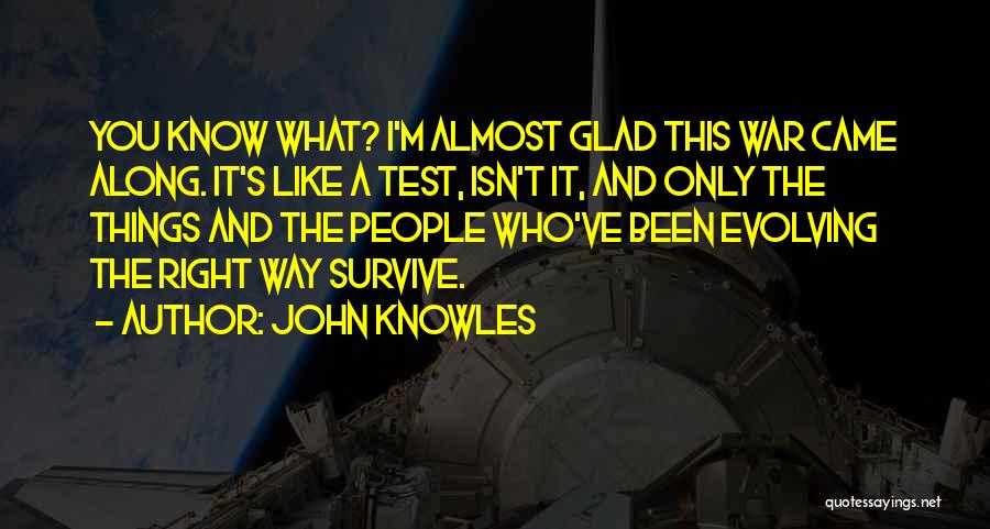 John Knowles Quotes 246593