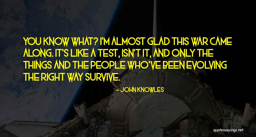 John Knowles Quotes 246593