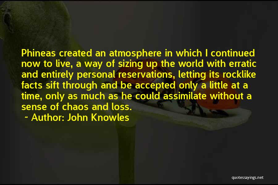 John Knowles Quotes 515101