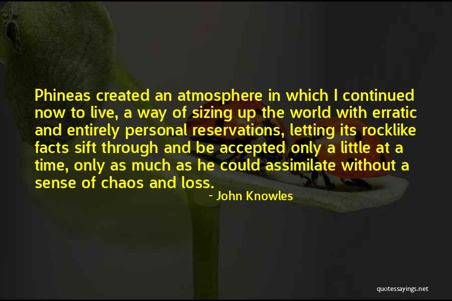 John Knowles Quotes 515101