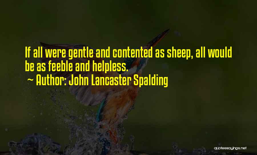 John Lancaster Spalding Quotes 1269827