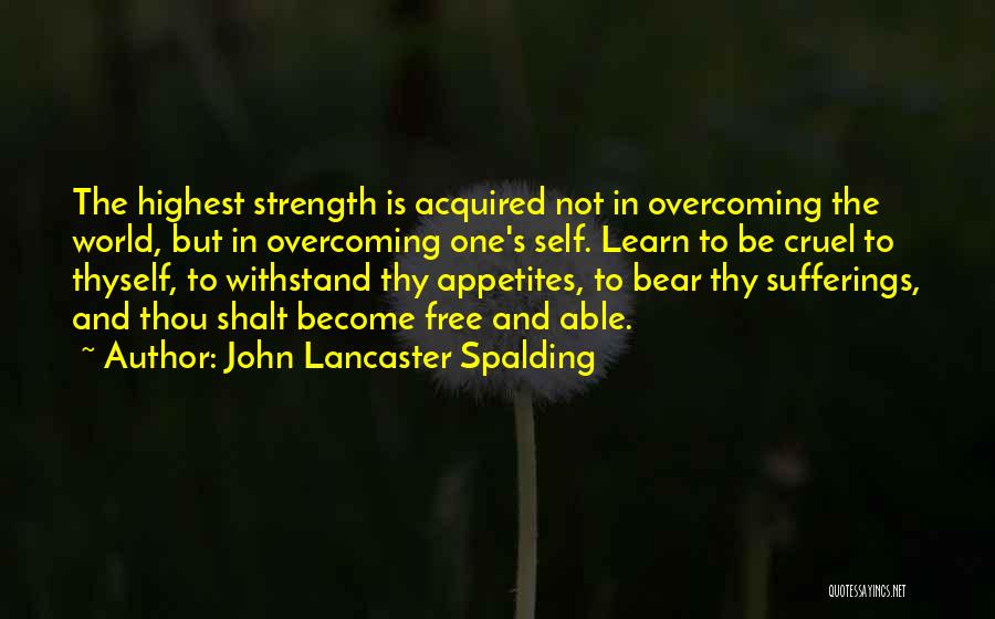 John Lancaster Spalding Quotes 1915785