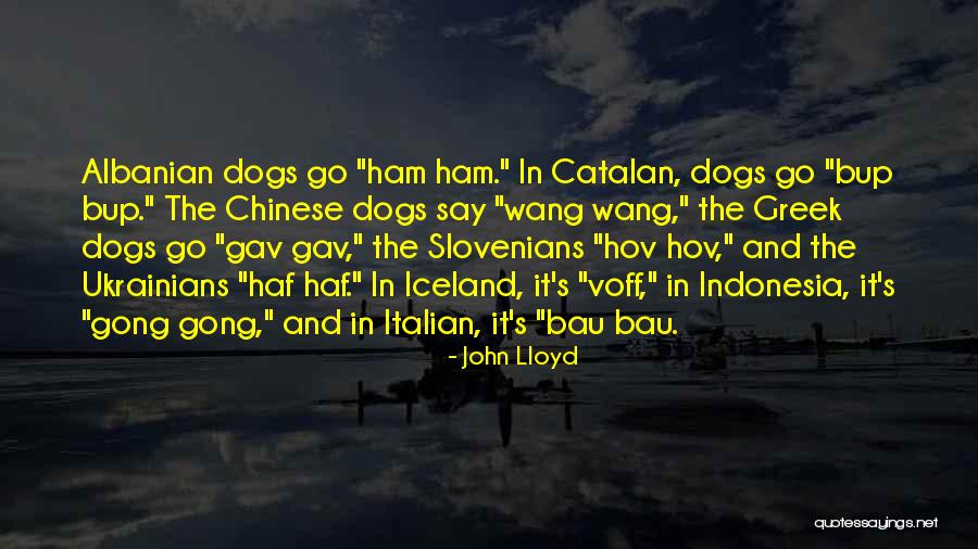 John Lloyd Quotes 488485 John Lloyd Quotes 488485