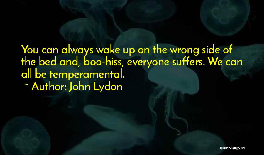 John Lydon Quotes 533473