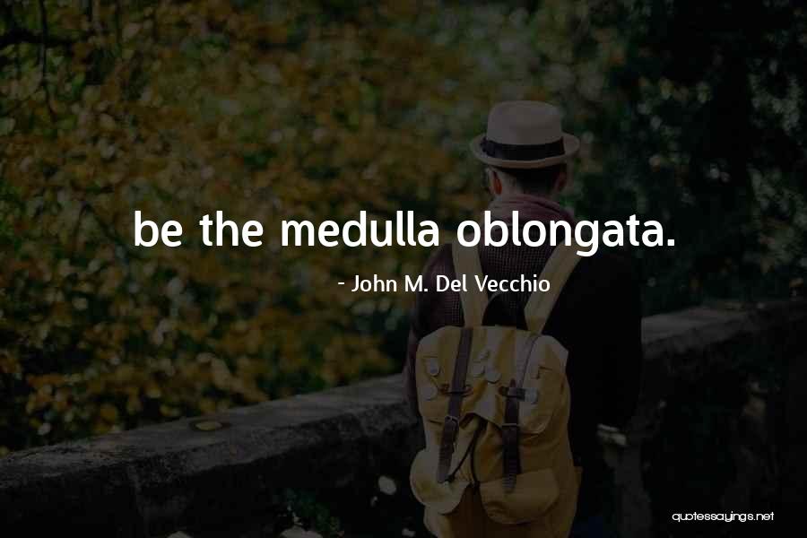 John M. Del Vecchio Quotes 1665149