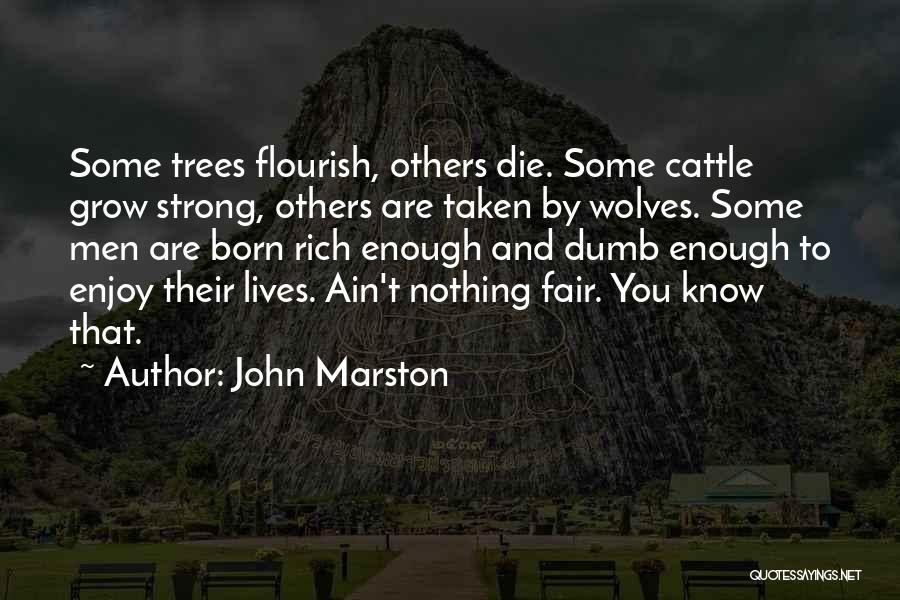 John Marston Quotes 2016813