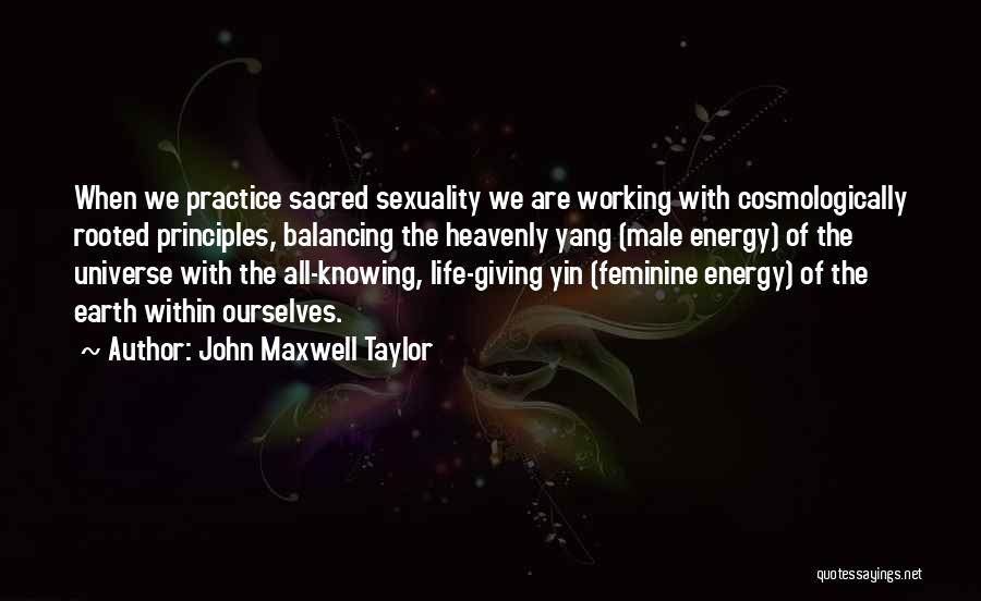 John Maxwell Taylor Quotes 1473774