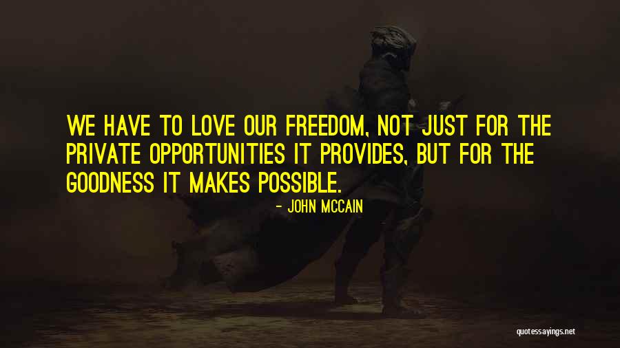 John McCain Quotes 377923