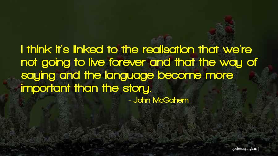 John McGahern Quotes 138907 John McGahern Quotes 138907