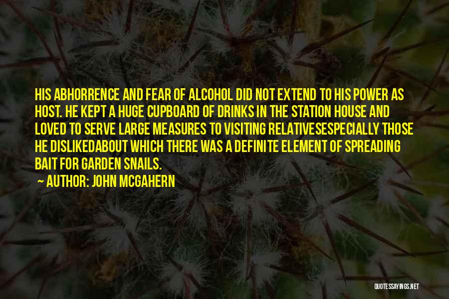 John McGahern Quotes 1805597