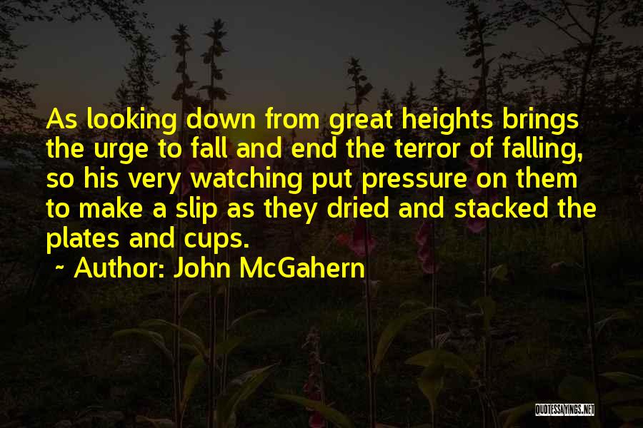 John McGahern Quotes 2075111