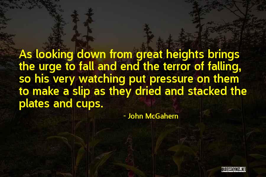 John McGahern Quotes 2075111 John McGahern Quotes 2075111