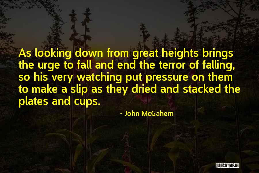 John McGahern Quotes 2075111