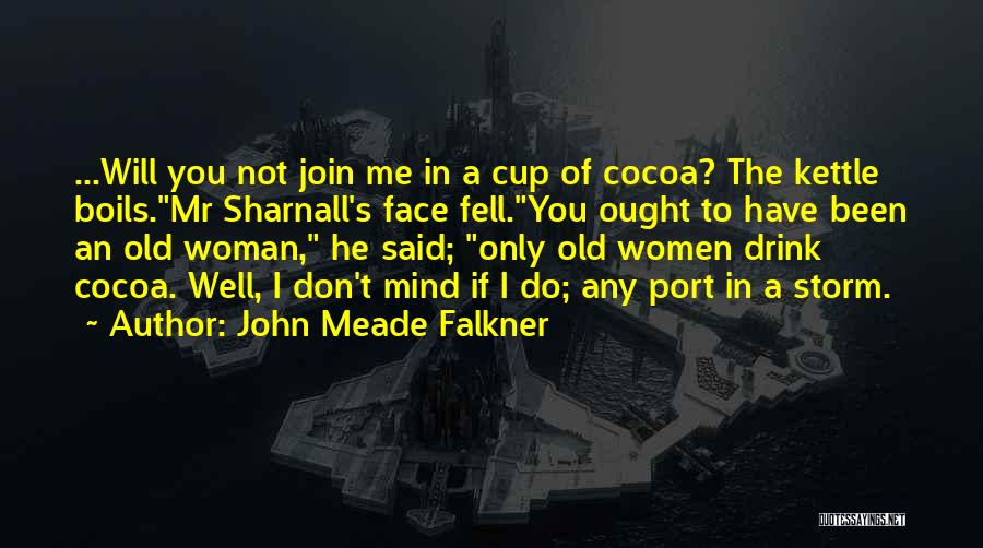 John Meade Falkner Quotes 2037938