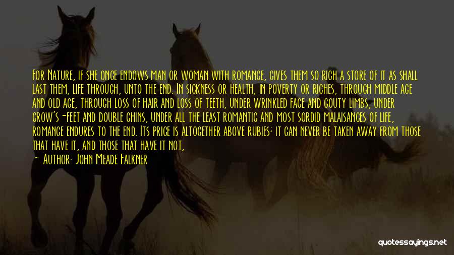 John Meade Falkner Quotes 494706